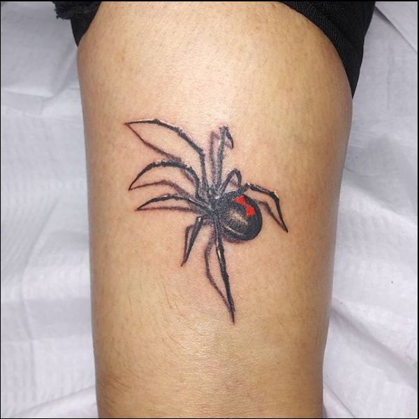 Buy Temporary Tattoo 2 Spiders Halloween 3d Black Widow Fake Online in  India  Etsy