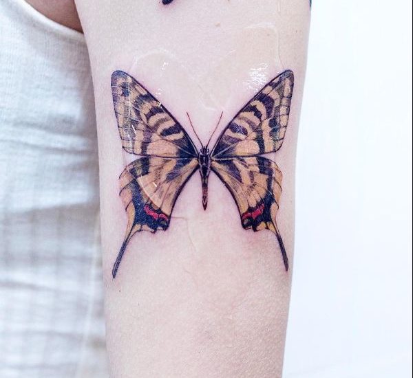 butterfly tattoo on biceps ideas for boys