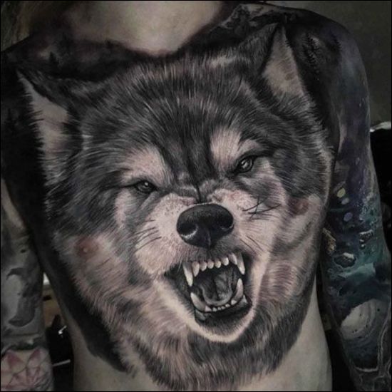 wolf tattoos on full chest designs