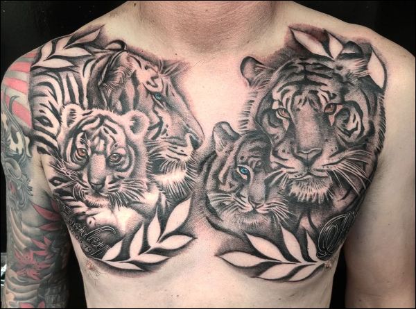 tiger family chest tattoo designs for men
