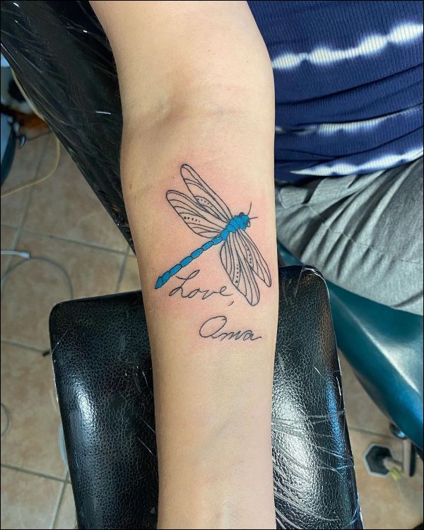 Top 15 Beautiful Dragonfly Tattoo Designs and Ideas