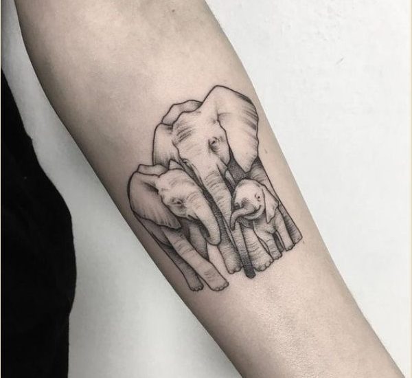 best elephant tattoos designs 