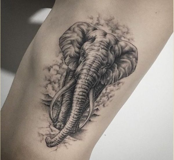 best elephant tattoos designs 