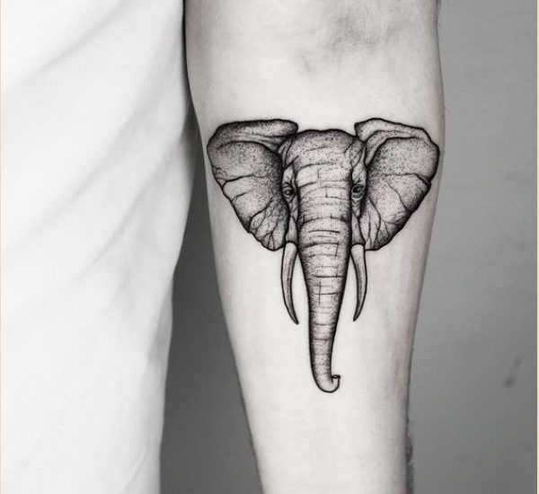 50+ Mind Blowing Elephant Tattoo Designs With Meanings _ Tattoosinsta