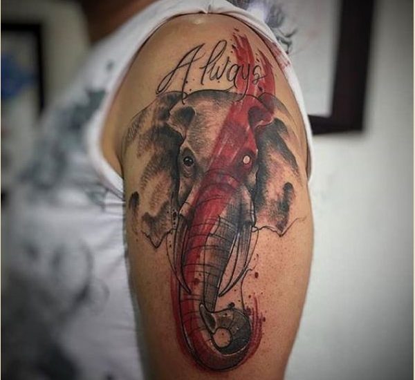 best elephant tattoos designs 