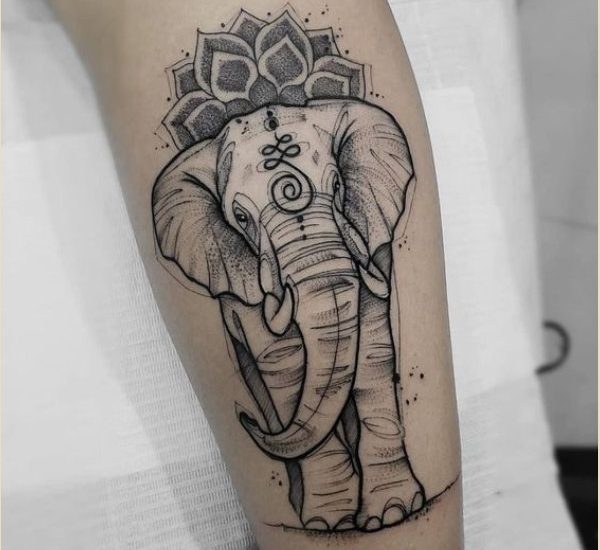 best elephant tattoos designs 