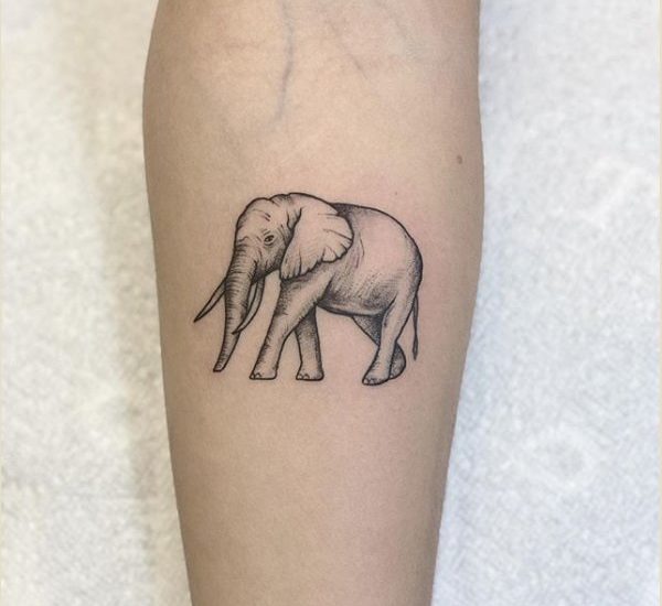 A Couple Elephant Tattoo represents good luck, power, wisdom, strength and  fertility.Elephants are real charmers with a great capacity to… | Instagram