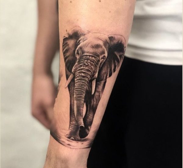 33 Elegant Elephant Tattoo Ideas for Men  Women in 2023