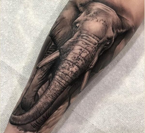 50+ Mind Blowing Elephant Tattoo Designs With Meanings _ Tattoosinsta