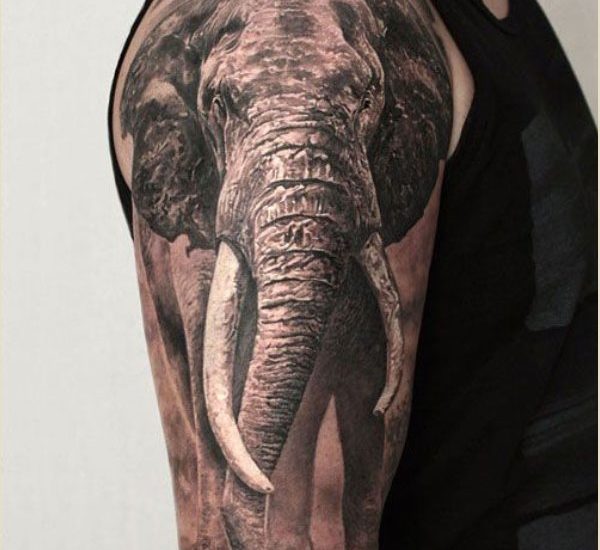 best elephant tattoos designs 