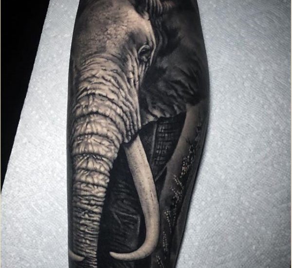 best elephant tattoos designs 