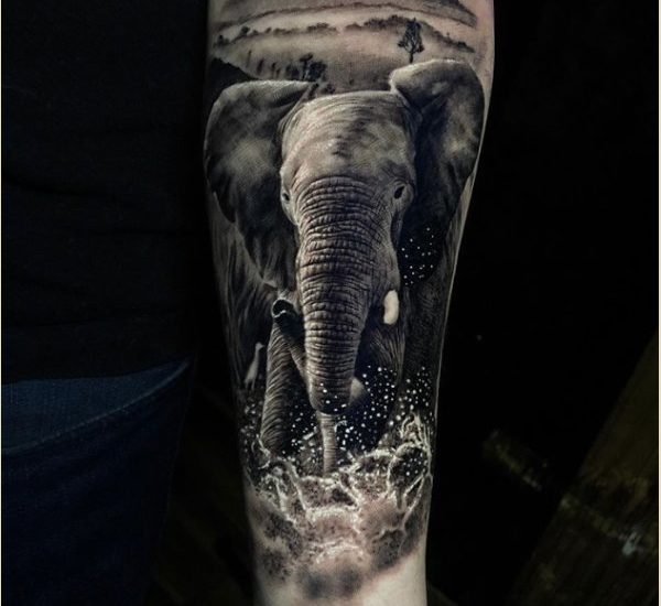 best elephant tattoos designs 