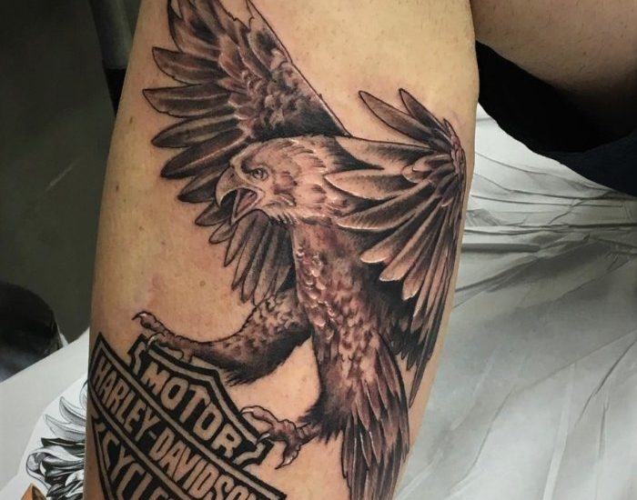 American eagle with Harley Davidson logo tattoos
