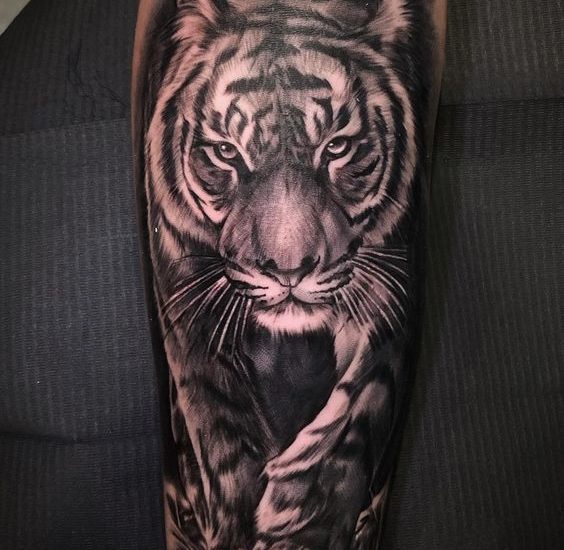 Top Killer 43+ Tiger Tattoos Designs & Ideas & Their Meanings