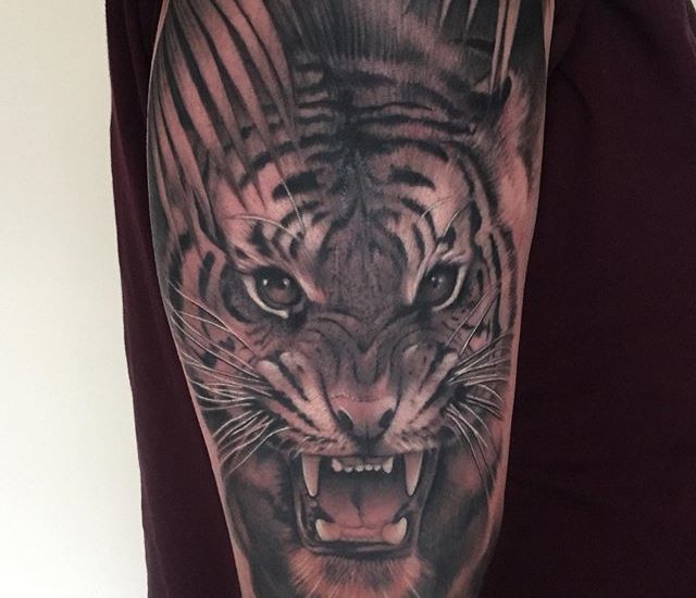 Best tiger tattoos ideas