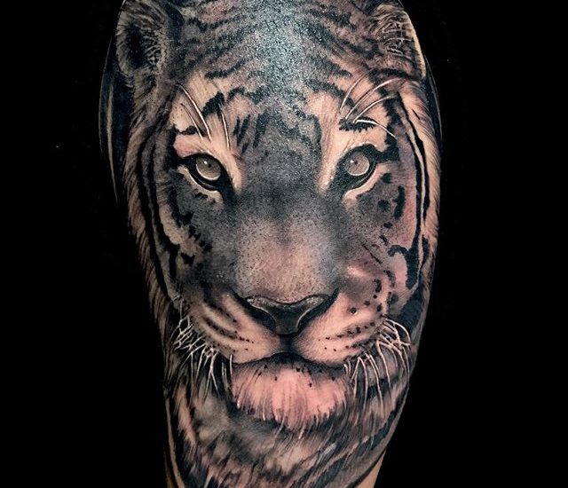 Best tiger tattoos designs