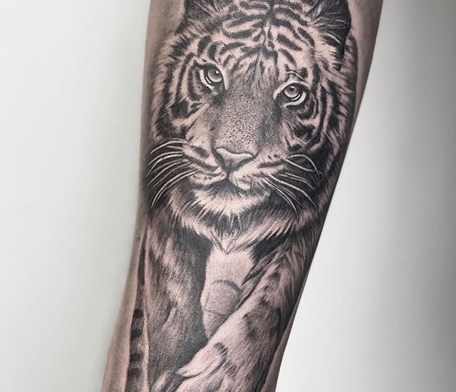 Best tiger tattoos designs